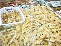 -旺角小渔村(二马路店)