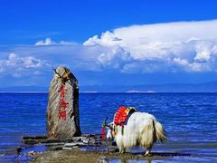 -青海湖国家重点风景名胜区