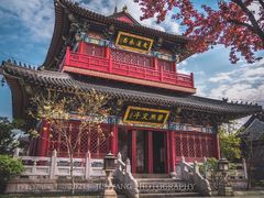 -广富林郊野公园