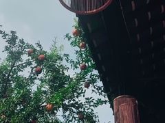 -古今茶语·峨眉山有机茶体验馆