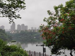 -重庆彩云湖湿地公园