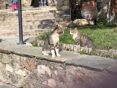 -梅黛奥拉修道院