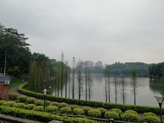 -三水森林公园