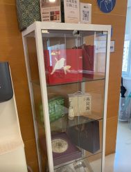 -杭州贝瑞斯美华妇儿医院·早孕·产检·儿科