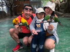 -西霞口神雕山野生动物世界