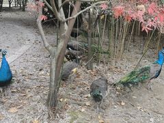-宁波野生动物园