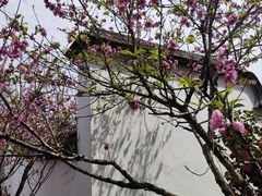 -乌山风景区