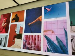 -Apple零售店(玄武湖店)
