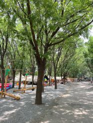 -268童话露营营地·烧烤·团建