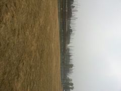 android_upload_pic-秀丽东方
