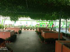 -兰陵国家农业公园