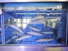 -八仔大富楼·河鲜(西江店)