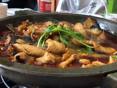 石锅鱼乌江鱼-巴乡石锅鱼(密云店)