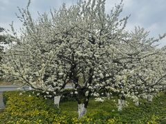 -万达茂商场(南京仙林店)