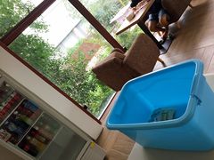 -汪说喵讲宠物乐园宠物酒店(红星美凯龙店)