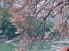 -红星桥(地铁站)