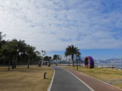 -野狸岛