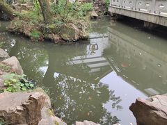 -兴福老面馆(寺路街店)