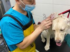 -达爱动物医院·犬猫分区·CT·复杂眼科(远洋山水分院)