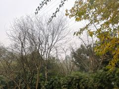 -融汇温泉