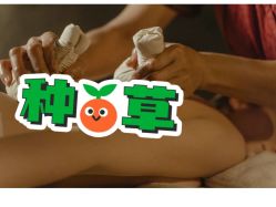 点击看大图 -芳香乐府SPA·五行芳疗