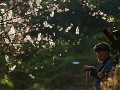 -樱桃山旅游景区