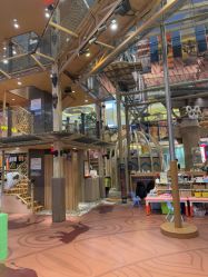 -卡通尼·Safari非洲探索乐园·生日会(金桥国际商业广场店)