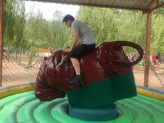 -东方巨龟苑景区