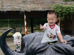 -杭州野生动物世界