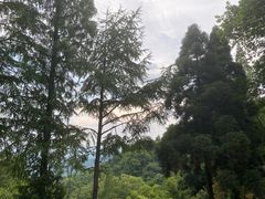 -莫干山风景区