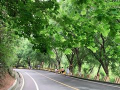 -大雁山风景区