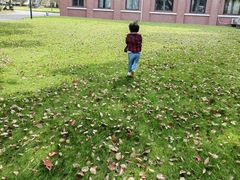 -上海财经大学(国定路校区)