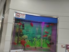 -雅悦齿科(顾村公园店)