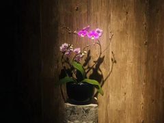 -德迹斋禅意文化茶馆·茶空间·商务洽谈•宴席(桃园店)
