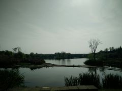 -白鹭湾湿地公园