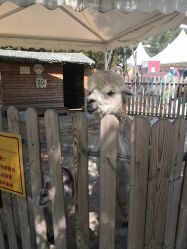 -萌宠亲子动物乐园(槐房万达店)