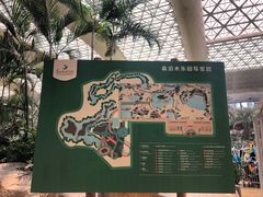 -杭州开元森泊度假乐园