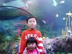 -沈阳海洋探索中心