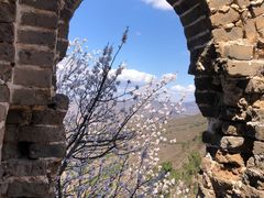 -蟠龙山长城景区