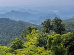 -莫干山风景区