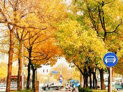 -元大都城垣遗址公园