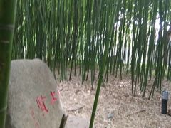 -竹泉村旅游度假区