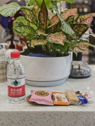 -V+SALON造型