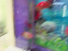 -雅悦齿科(顾村公园店)