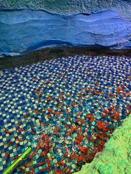 -酷嗒动物文化乐园(cutezoo西溪乐天城店)