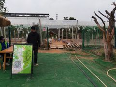 -长洲岛都市农业公园
