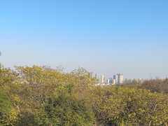 -南京市江宁方山