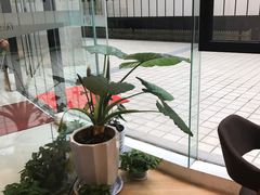 -柏斯音乐艺术中心·钢琴·吉他(上音店)