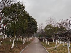 -钱塘江