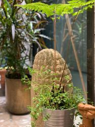 点击看大图 -Y+U遇瑜伽·普拉提